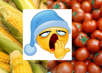 How food lost its taste